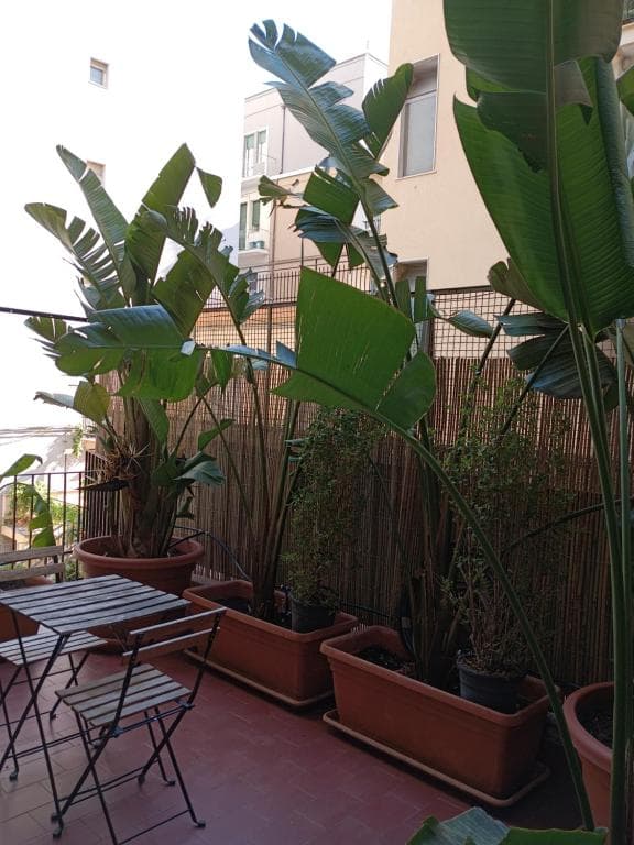 Garage privato incluso nella prenotazione